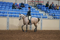 2020 - AB Morgan Horse - Sat, Sept 05 - 01187