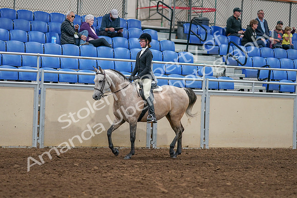 2020 - AB Morgan Horse - Sat, Sept 05 - 01187