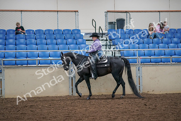 2019 Morgan Horse Show - Aug 30, 2019 - 16741
