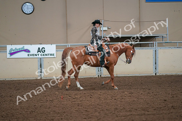 2019 Morgan Horse Show - Aug 30, 2019 - 17032
