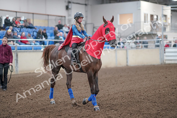 2019 Morgan Horse Show - Aug 31, 2019 - 09996