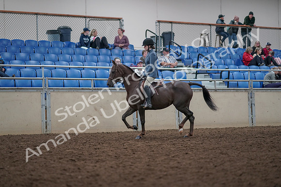 2019 Morgan Horse Show - Aug 31, 2019 - 16557