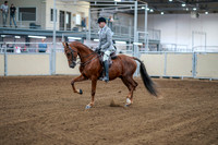 2020 - AB Morgan Horse - Fri, Sept 04 - 01463