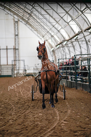 July 19, 2019 - 6724