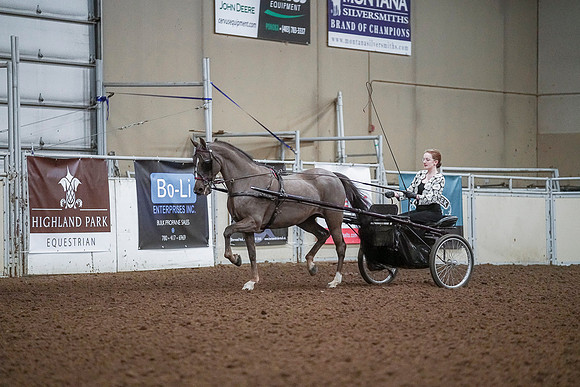 Spring Fling - Saturday - April 20, 2019  -  00204