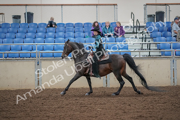 2019 Morgan Horse Show - Aug 30, 2019 - 26095