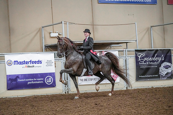 Spring Fling - Saturday - April 20, 2019  -  03666