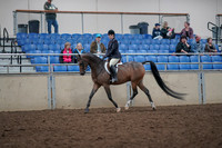 2019 Morgan Horse Show - Aug 31, 2019 - 15854