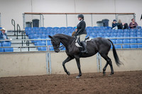 2019 Morgan Horse Show - Aug 31, 2019 - 14641