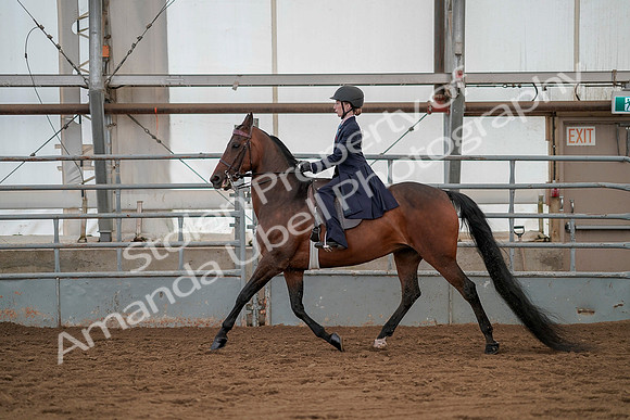 July 20, 2019 - 03775