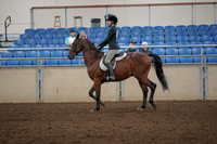 2019 Morgan Horse Show - Aug 31, 2019 - 04831