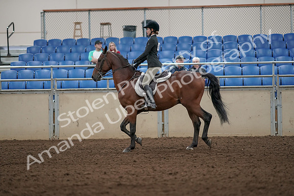 2019 Morgan Horse Show - Aug 31, 2019 - 04831