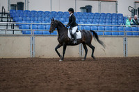 2019 Morgan Horse Show - Aug 30, 2019 - 18298