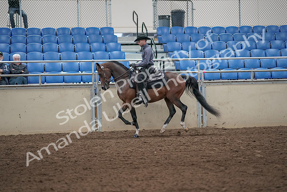 2019 Morgan Horse Show - Aug 31, 2019 - 06104