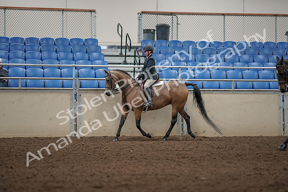 2019 Morgan Horse Show - Aug 31, 2019 - 04839