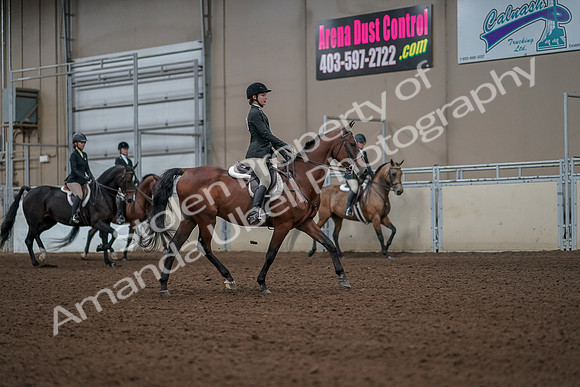 2019 Morgan Horse Show - Aug 31, 2019 - 05182