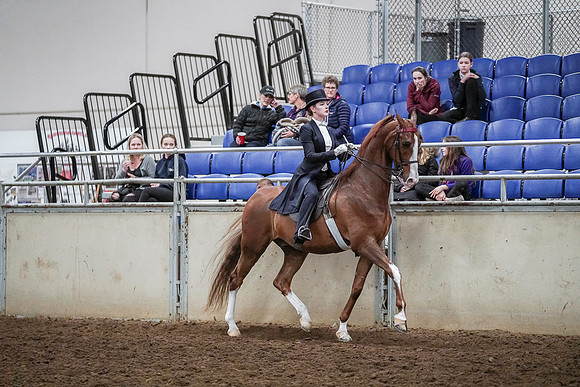 Spring Fling - Saturday - April 20, 2019  -  04386