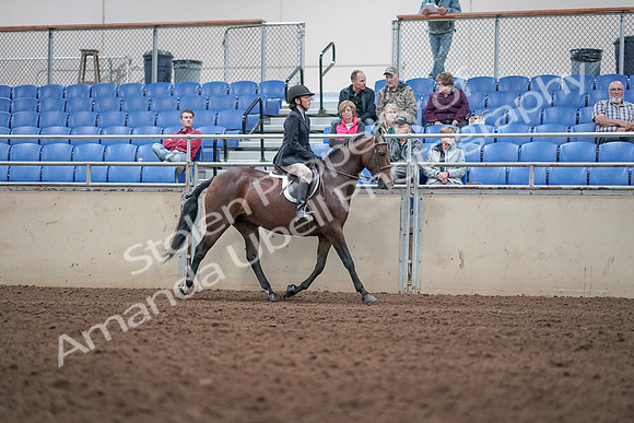 2019 Morgan Horse Show - Aug 31, 2019 - 19589