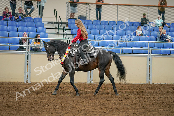 2020 - AB Morgan Horse - Sat, Sept 05 - 10372