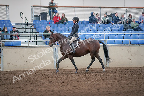 2019 Morgan Horse Show - Aug 31, 2019 - 19427