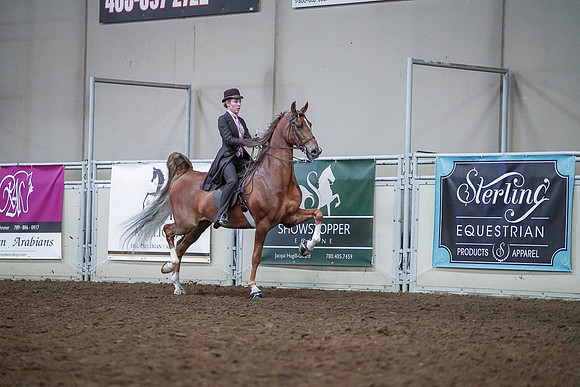 Spring Fling - Saturday - April 20, 2019  -  00544