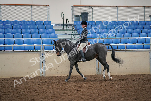 2019 Morgan Horse Show - Aug 30, 2019 - 23428