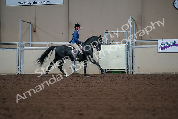 2019 Morgan Horse Show - Aug 30, 2019 - 18618