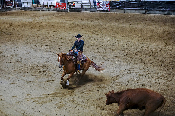 DSC08565