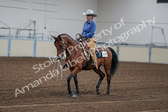 2020 - AB Morgan Horse - Fri, Sept 04 - 00135