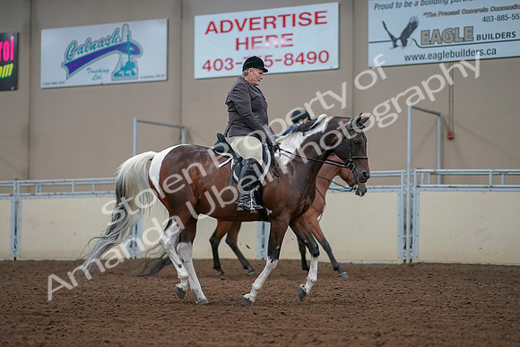 2019 Morgan Horse Show - Aug 30, 2019 - 16441