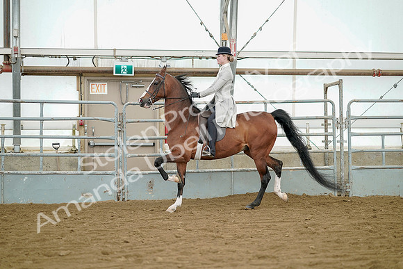 July 20, 2019 - 07637