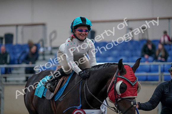2019 Morgan Horse Show - Aug 31, 2019 - 10243
