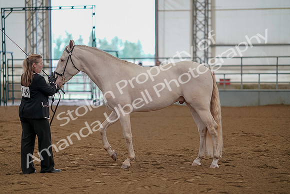 July 19, 2019 - 331