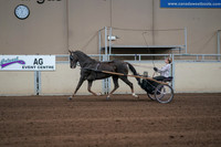 2019 Morgan Horse Show - Sept 01, 2019 - 05913