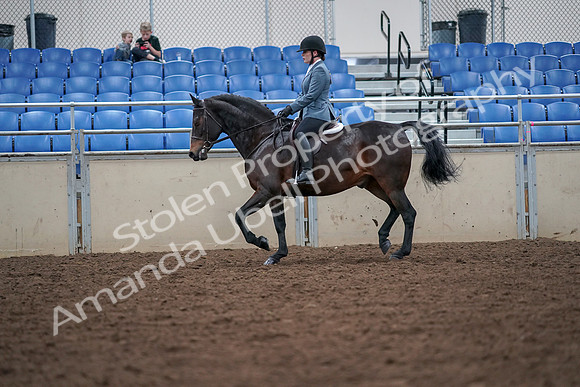 2019 Morgan Horse Show - Aug 30, 2019 - 18425