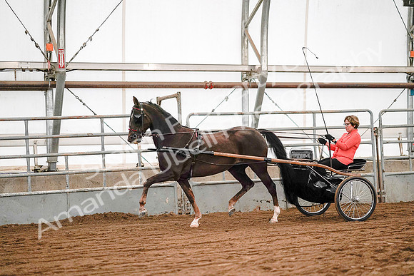 July 19, 2019 - 6967