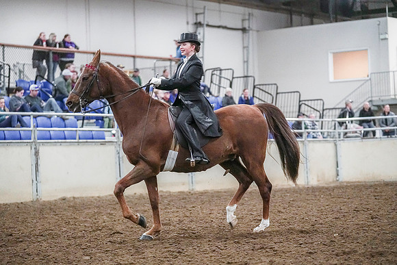 Spring Fling - Saturday - April 20, 2019  -  04081