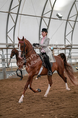 July 19, 2019 - 10256