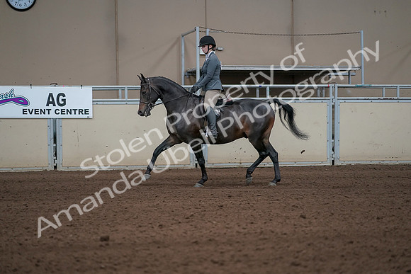 2019 Morgan Horse Show - Sept 01, 2019 - 10921