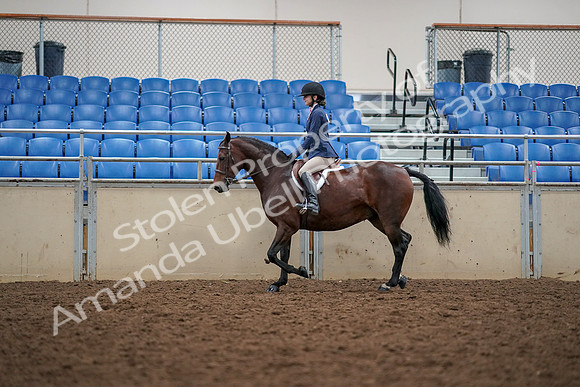 2019 Morgan Horse Show - Aug 30, 2019 - 23390