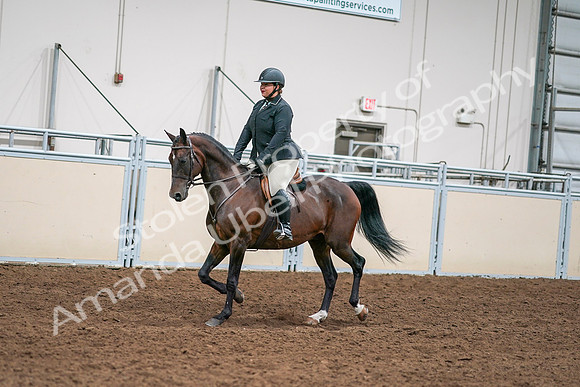 2020 - AB Morgan Horse - Sat, Sept 05 - 09323