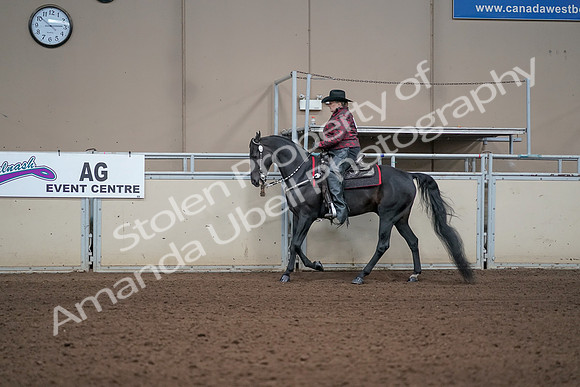2019 Morgan Horse Show - Aug 31, 2019 - 10615