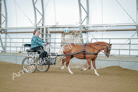 July 21, 2019 - 09279