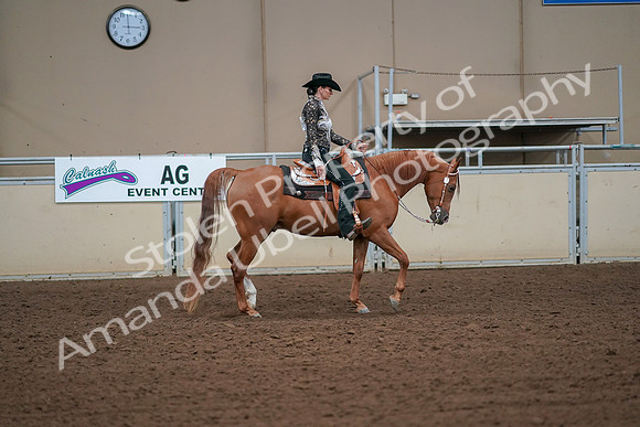 2019 Morgan Horse Show - Aug 30, 2019 - 17026