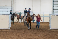 2020 - AB Morgan Horse - Fri, Sept 04 - 04463