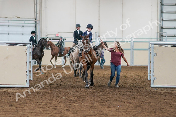 2020 - AB Morgan Horse - Fri, Sept 04 - 04463
