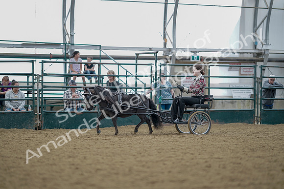 July 21, 2019 - 06846