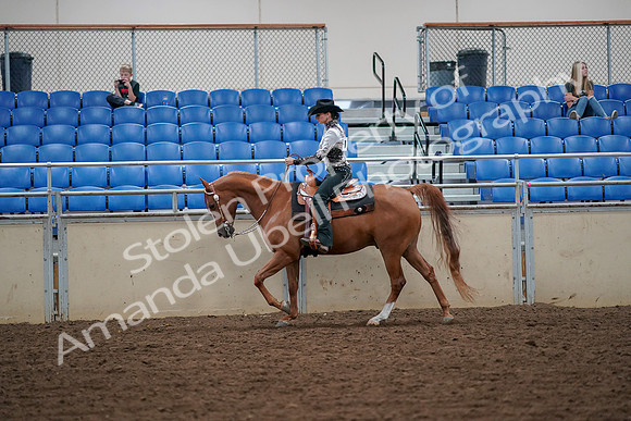 2019 Morgan Horse Show - Aug 30, 2019 - 16848