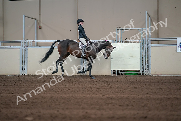 2019 Morgan Horse Show - Sept 01, 2019 - 03912