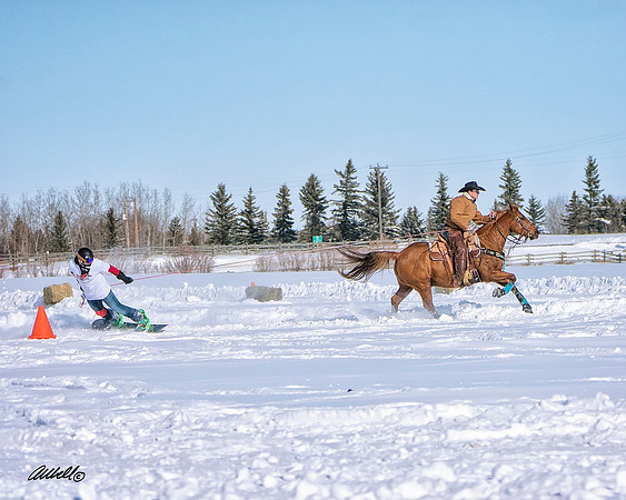 Skijordue - 9439